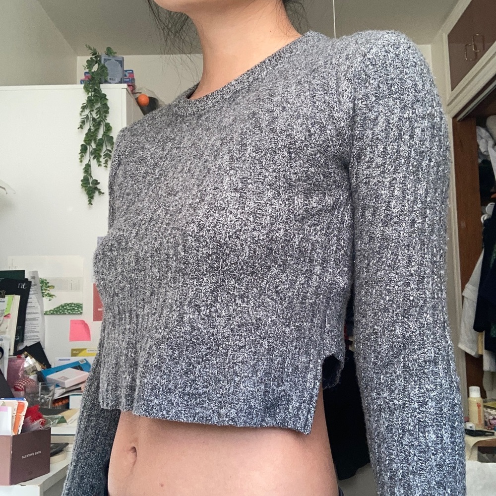 Aritzia cropped sweater